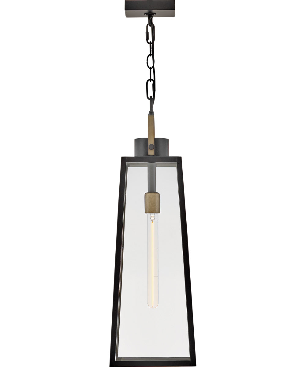 Hugh 1-Light Large Hanging Lantern in Black