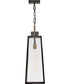 Hugh 1-Light Large Hanging Lantern in Black