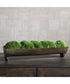 Canal Moss Small Centerpiece