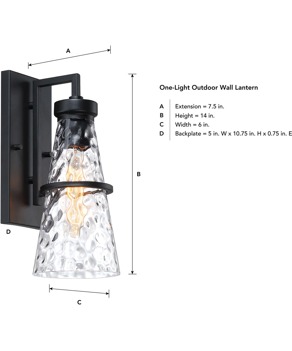 Field Daisy Lane Outdoor Wall Sconce Black
