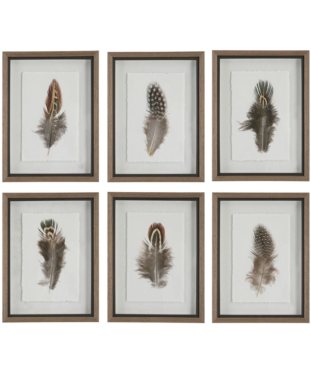 Birds Of A Feather Framed Prints, Set of 6