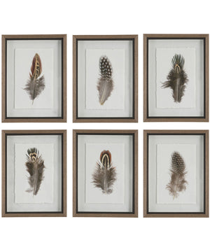 Birds Of A Feather Framed Prints, Set of 6