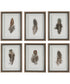Birds Of A Feather Framed Prints, Set of 6