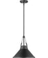 Zelda 1-Light Pendant Black