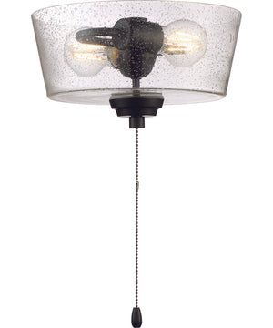 Outdoor Bowl Light Kit 2-Light LED Fan Light Kit Flat Black