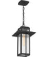 Randall Small 1-light Mini Pendant Coastal Armour Aluminum Mottled Black