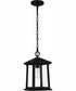 Satterfield Large 1-light Outdoor Pendant Light  Coastal Armour Matte Black