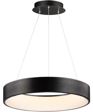 iQ 24 inch LED Pendant WiZ Color Brushed Black