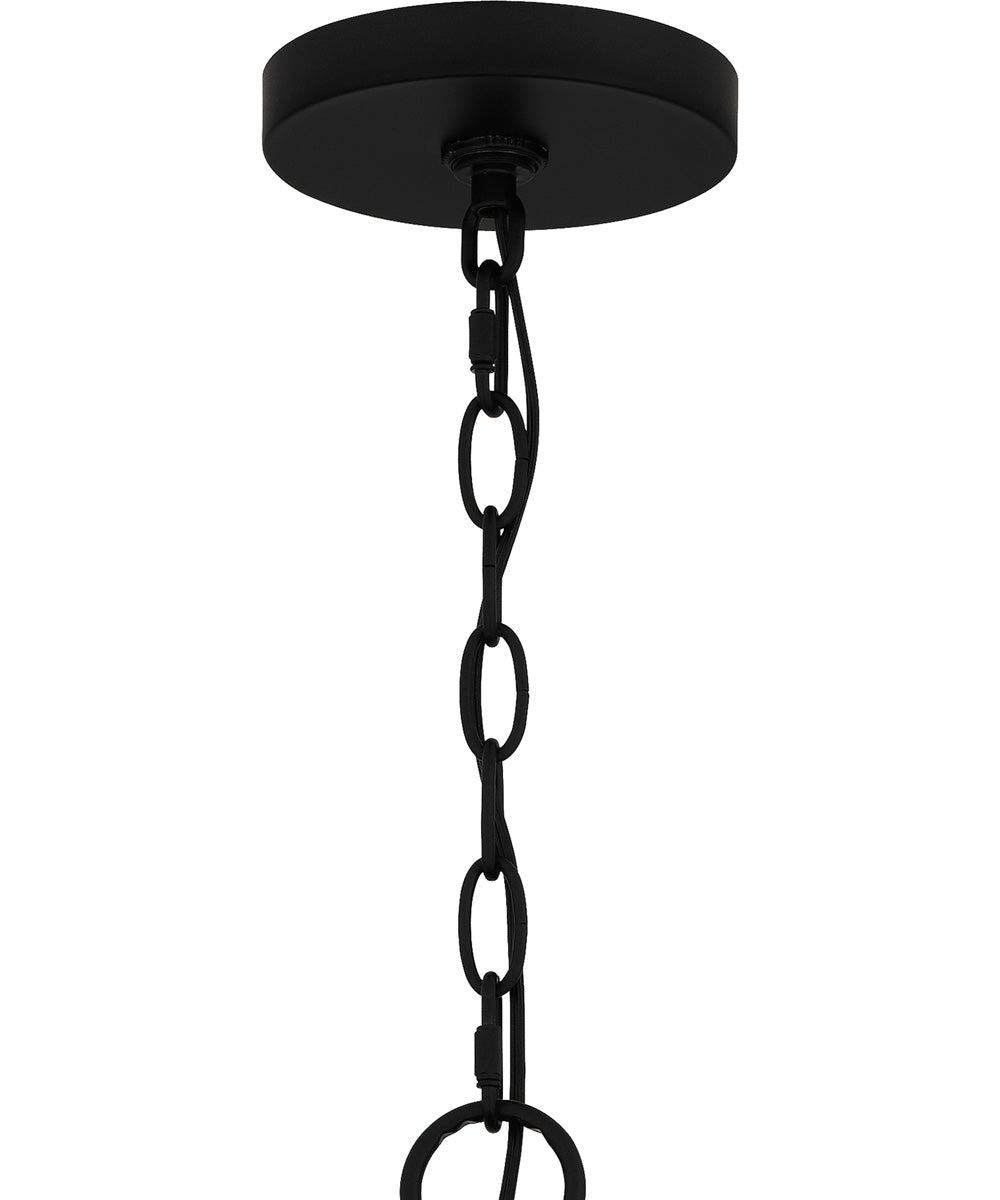 Adelaide 4-light Pendant Matte Black