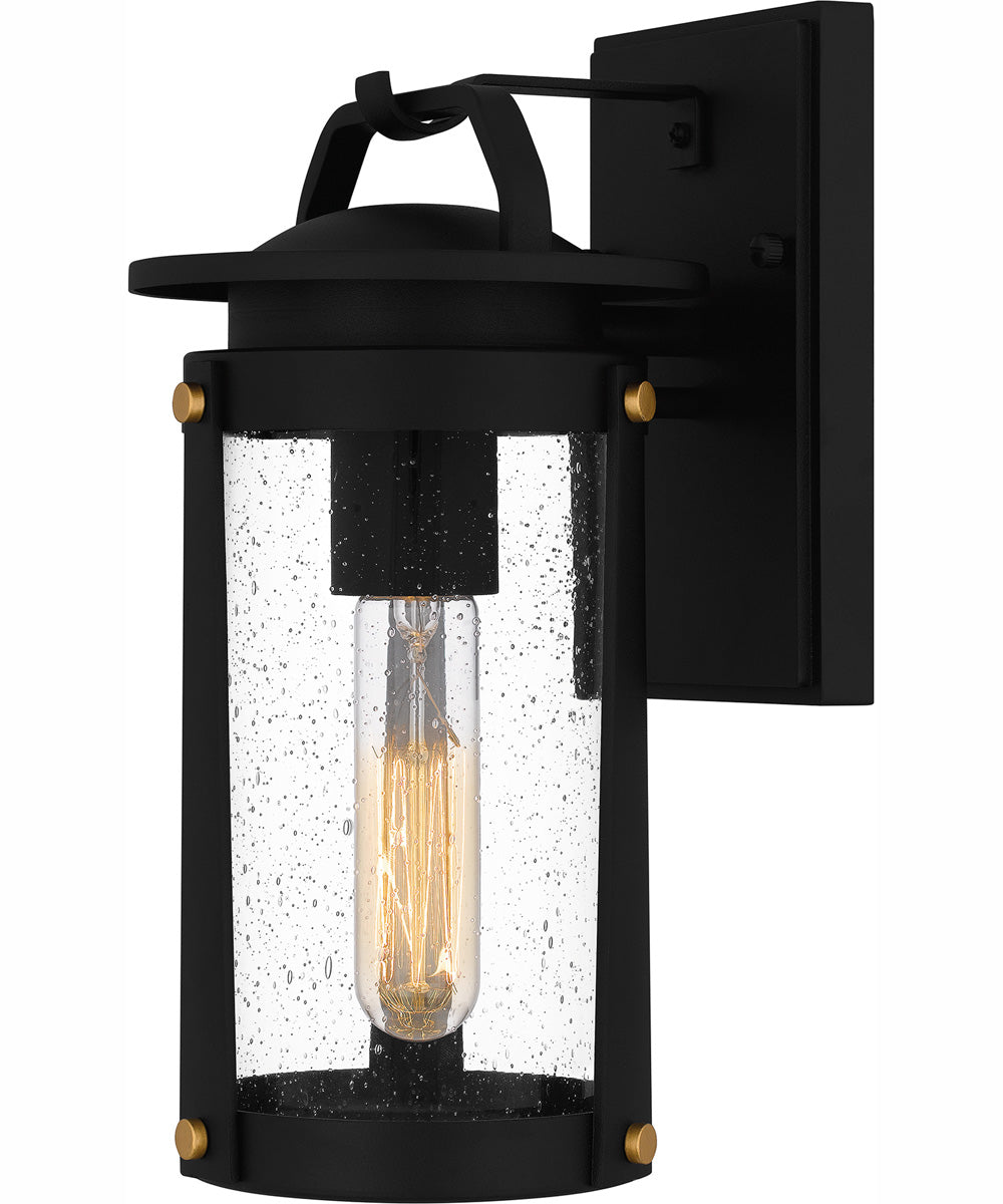 Clifton Small 1-light Outdoor Wall Light  Coastal Armour Aluminum Earth Black