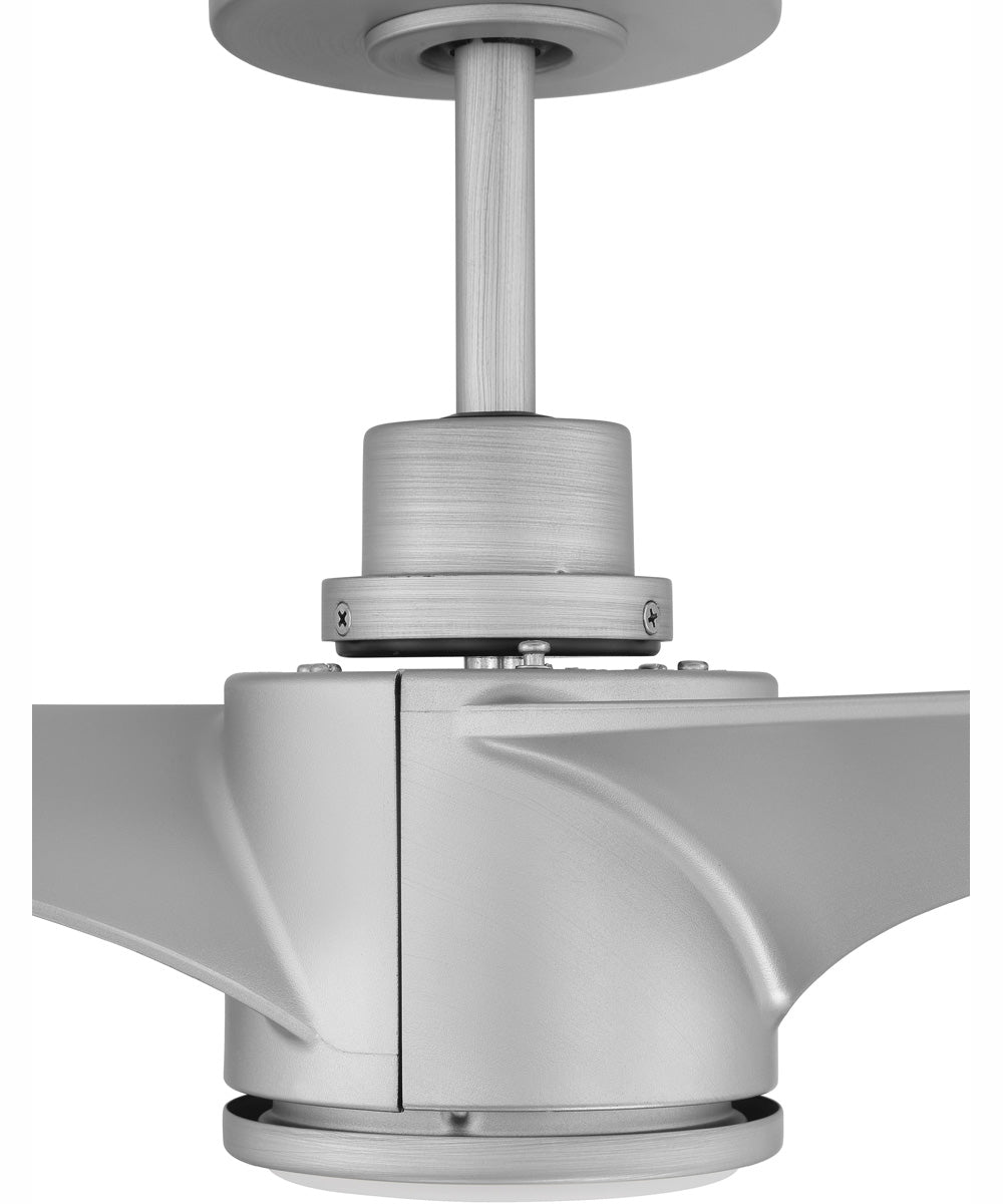 60" Phoebe 1-Light Indoor/Outdoor Ceiling Fan Painted Nickel