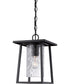 Lodge Small 1-light Mini Pendant Mystic Black