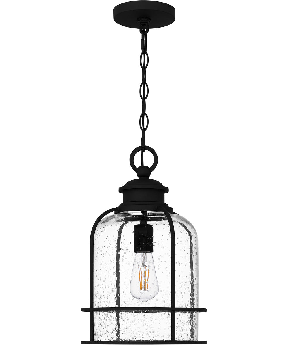 Bowles 1-light Mini Pendant Earth Black