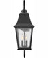 Kingston 2-Light Medium Wall Mount Lantern in Black