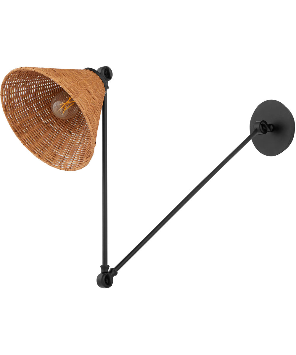 1-light Wall Mount Light Fixture Matte Black