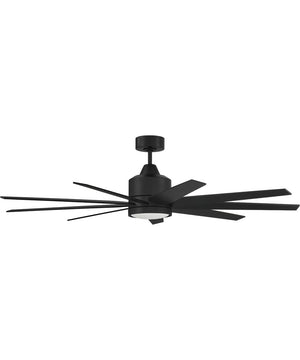 60" Champion 1-Light Specialty Indoor/Outdoor Ceiling Fan (Blades Included) Flat Black