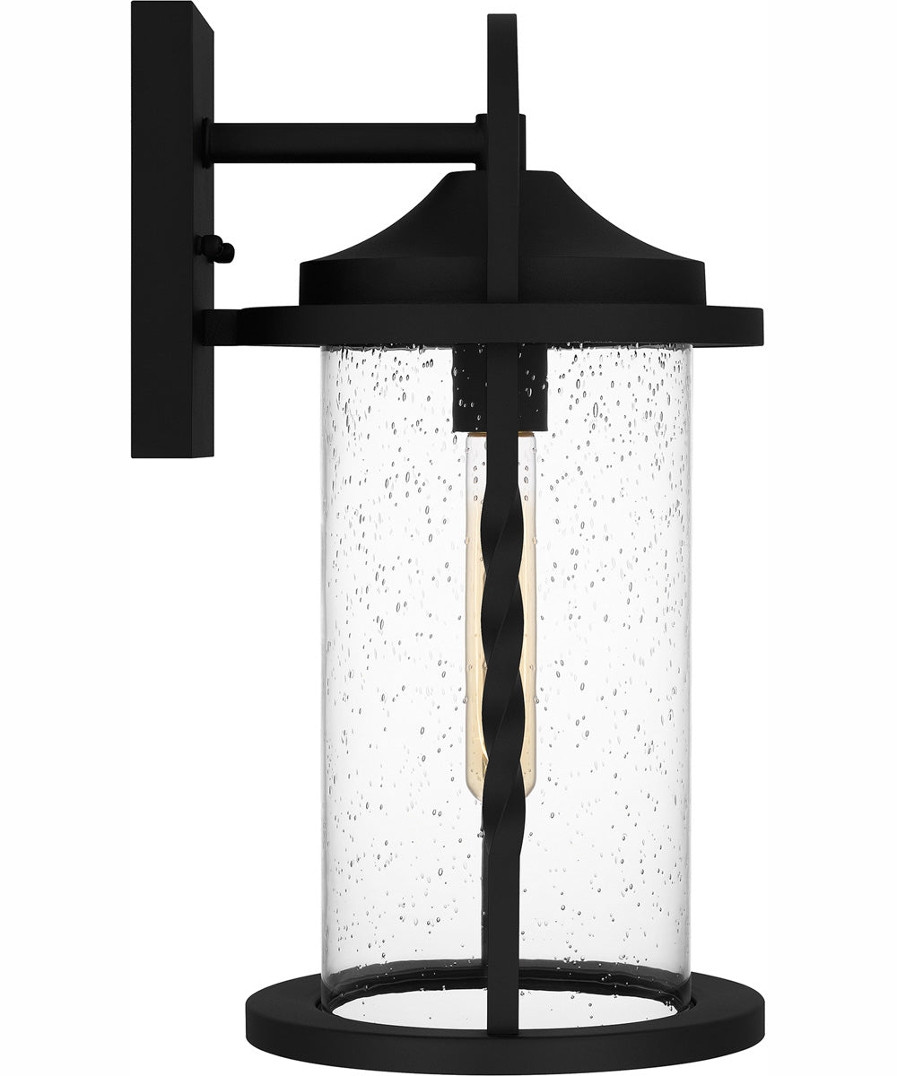 Reece Large 1-light Outdoor Wall Light  Coastal Armour Aluminum Earth Black