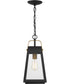 O'Leary Large 1-light Outdoor Pendant Light  Coastal Armour Steel Earth Black