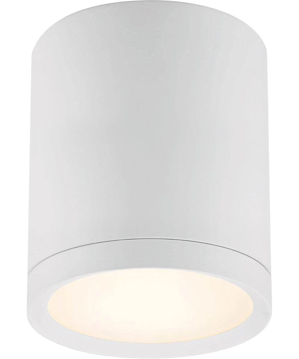 Lightray LED 1-Light Outdoor Flush Mount White