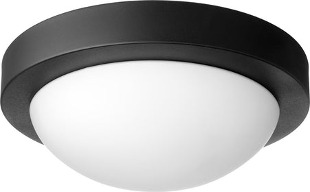 11"W 2-light Wall Mount Light Fixture Noir