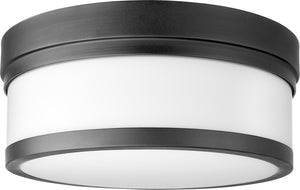 12"W Celeste 2-light Ceiling Flush Mount Noir