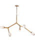 Blossom 5-Light LED Pendant Natural Aged Brass