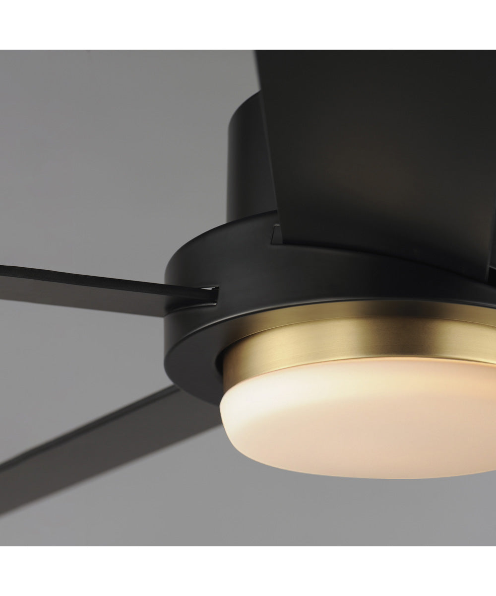 Daisy 60 inch 5-Blade Fan w LED Light Kit Black / Gold