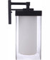 Hayner 1-Light Outdoor Wall Lantern Midnight