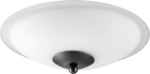 12"W 2-light LED Ceiling Fan Light Kit Noir w/ Satin Opal