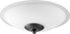 12"W 2-light LED Ceiling Fan Light Kit Noir w/ Satin Opal