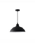 RLM 1-Light Outdoor Hanging-Lantern Rain or Shine - Black