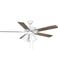 Ceiling Fans with Remotes