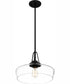 Quoizel Pendant 1-light Pendant Matte Black