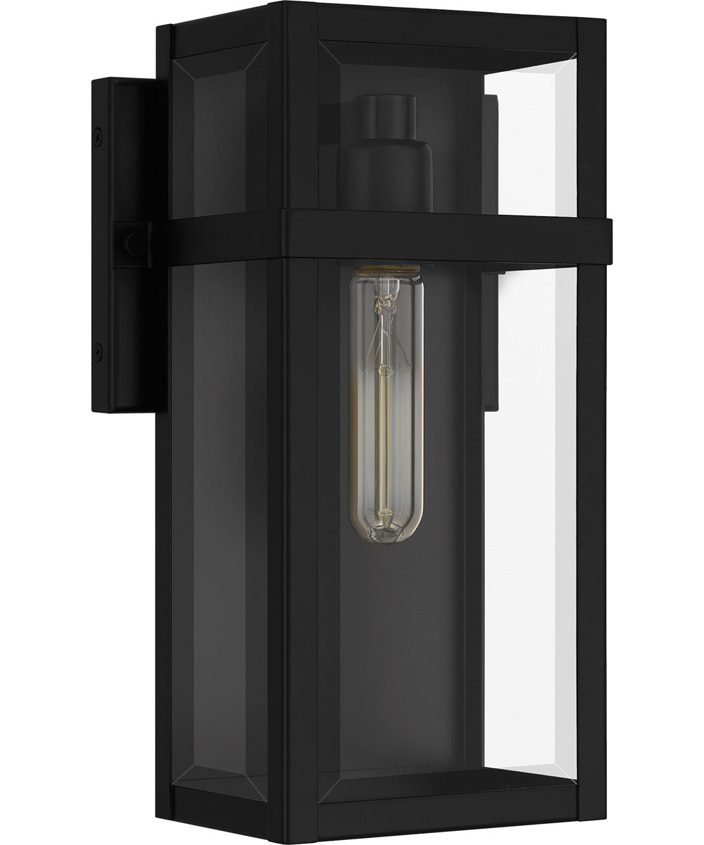 Vanessa Medium 1-light Outdoor Wall Light  Coastal Armour Aluminum Matte Black