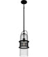 Quoizel Piccolo Pendant Small 1-light Mini Pendant Matte Black