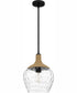Quoizel Piccolo Pendant 1-light Mini Pendant Matte Black