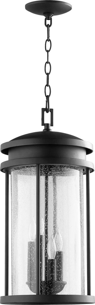 10"W Hadley 4-light Outdoor Pendant Noir