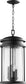10"W Hadley 4-light Outdoor Pendant Noir