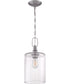 Dardyn 1-Light Mini Pendant Brushed Polished Nickel