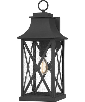 Ellerbee Large 1-light Outdoor Wall Light  Coastal Armour Aluminum Mottled Black