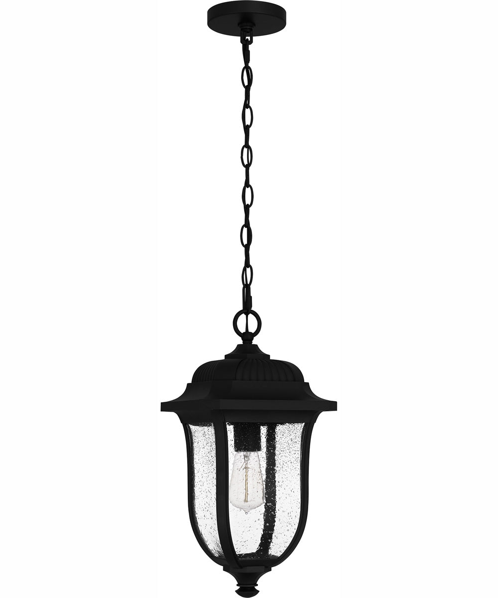 Mulberry Large 1-light Outdoor Pendant Light  Coastal Armour Matte Black