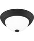 Erwin Small 1-light Flush Mount Matte Black