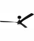 60" Phoebe 1-Light Ceiling Fan Flat Black