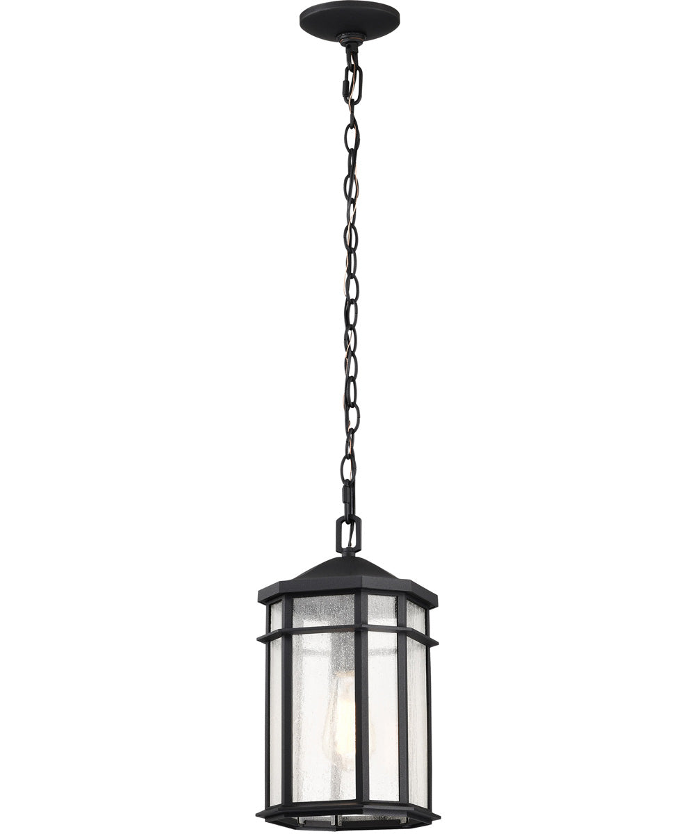 Raiden 1-Light Outdoor Matte Black