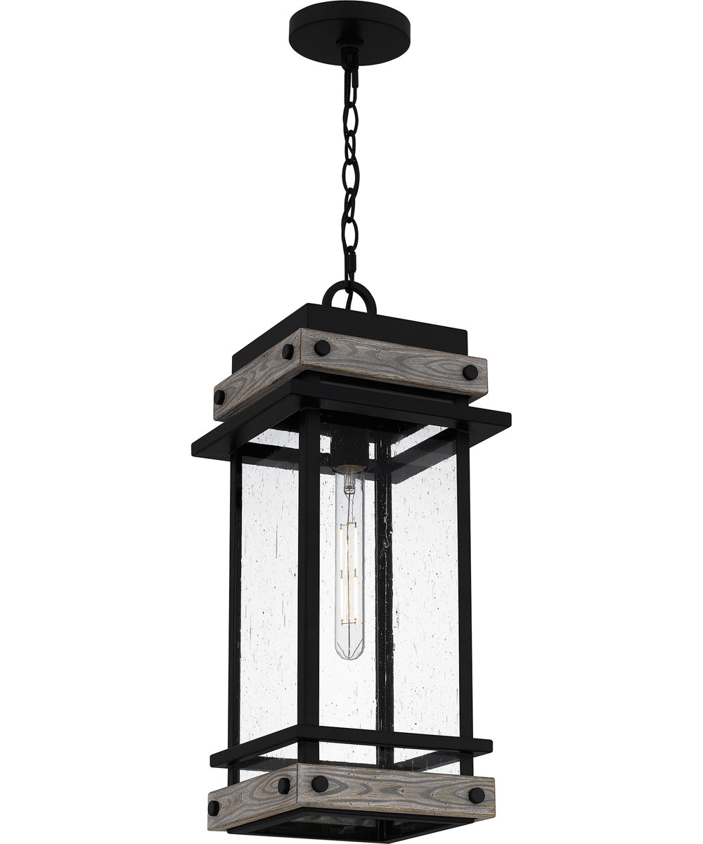 Strader Large 1-light Outdoor Pendant Light Matte Black