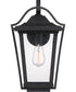 Darius Large 1-light Outdoor Wall Light  Coastal Armour Earth Black