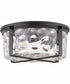 Steinway 2-light Ceiling Flush Mount Matte Black