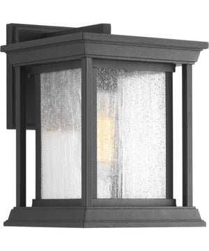Endicott 1-Light Small Wall Lantern Textured Black