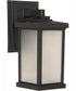Resilience Lanterns 1-Light Outdoor Wall Lantern Matte Black