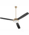 Large Ceiling Fans